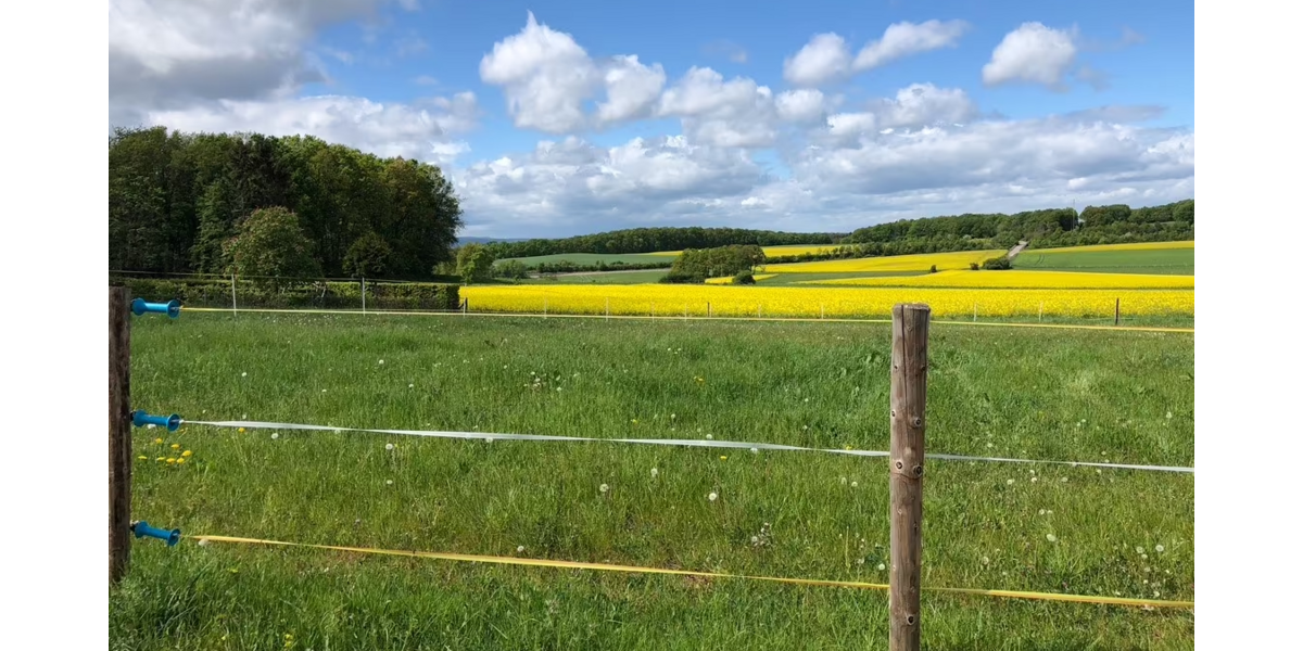 Grundstück zu verkaufen in Mechernich 270.000 € 904 m² zimmer