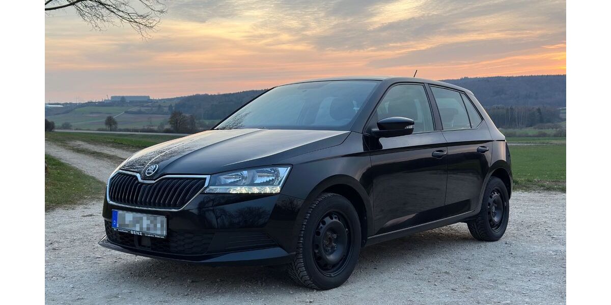 Skoda Fabia 56.000 km 9.500 &euro; Allmendingen 89604