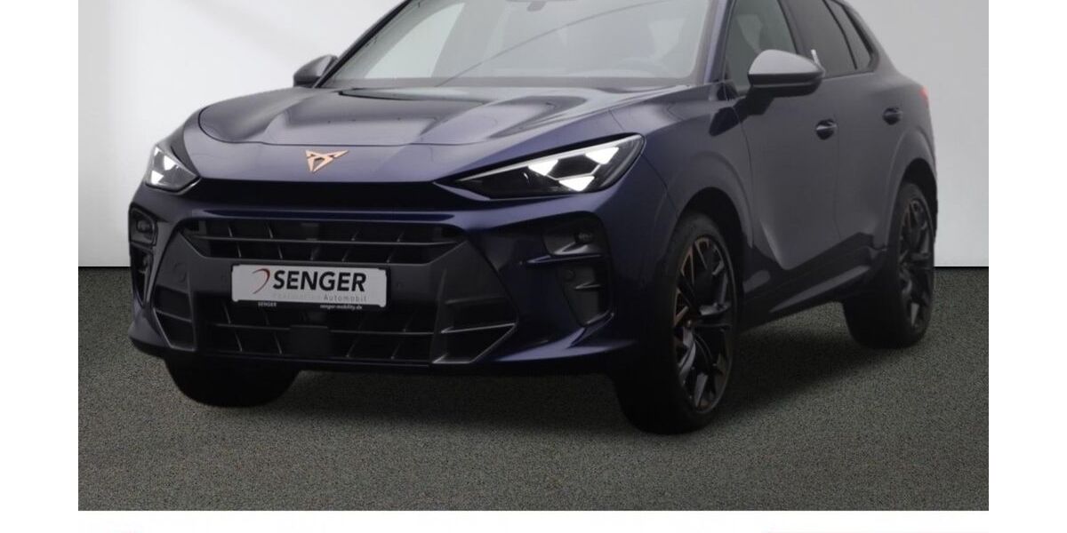 Cupra Terramar 5.000 km 44.980 &euro; Münster 48157