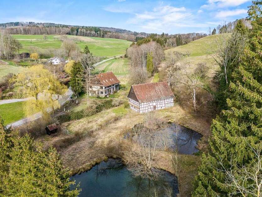 Haus zum Kaufen in Salem-Beuren 1.415.000 € 384 m²