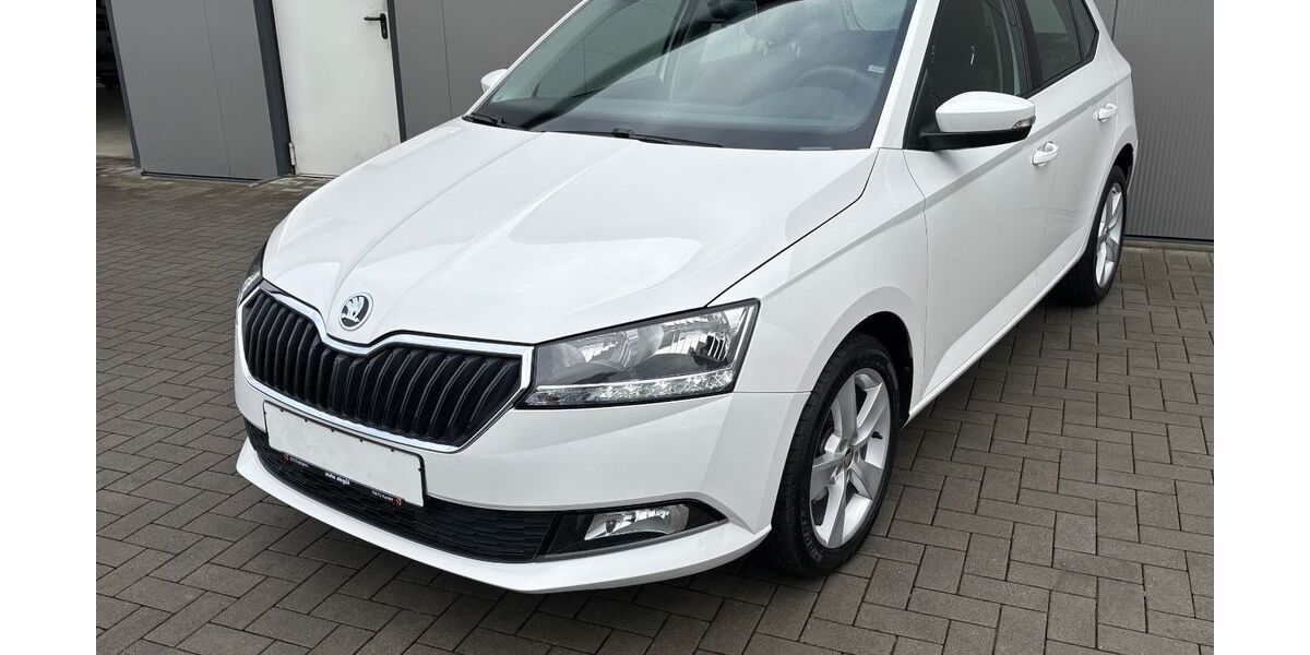Skoda Fabia 76.180 km 9.999 &euro; Kandel 76870
