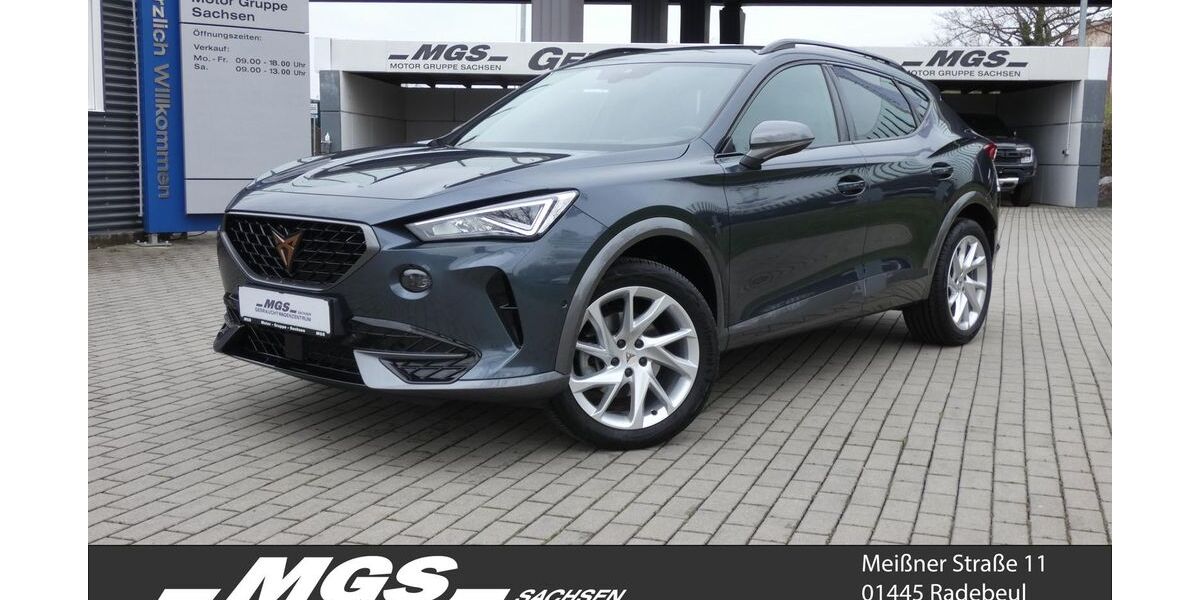 Cupra Formentor 42.100 km 27.950 &euro; Radebeul 01445