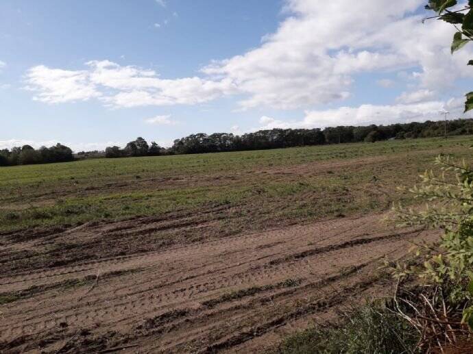 Grundstück Rheinsberg Flecken Zechlin - 83.000&euro; | Angebot:25773093