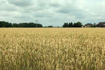 Grundstück zu verkaufen in Nordsehl 78.450 € 523 m² zimmer