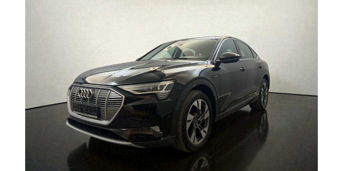 Audi e-tron 53.000 km 29.999 &euro; Reutlingen / Mittelstadt 72766