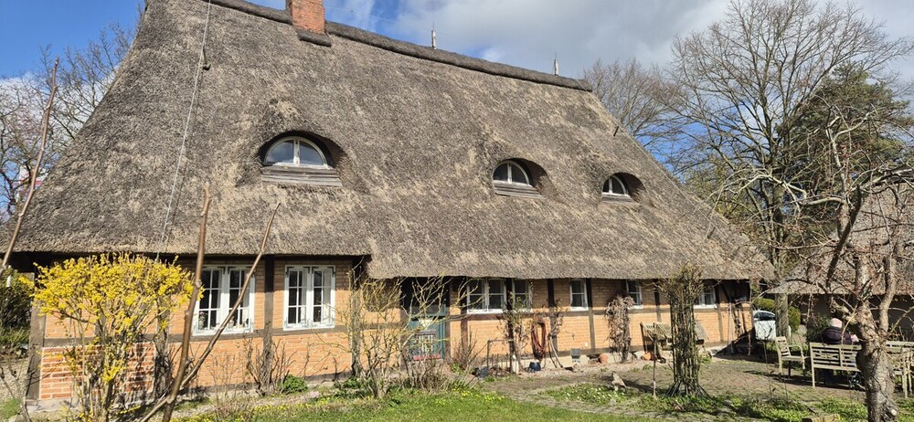Einzigartiges Reetdach-Idyll von 1815 am Feldrand in Strandnähe - Bauernhaus, Landhaus Brodersdorf | Angebot:26905977