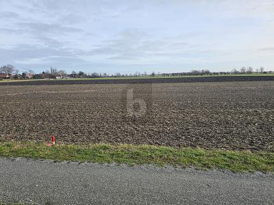 RUHIGER RÜCKZUGSORT AUF DER SONNENINSEL - Grundstück Fehmarn | Angebot:26319838