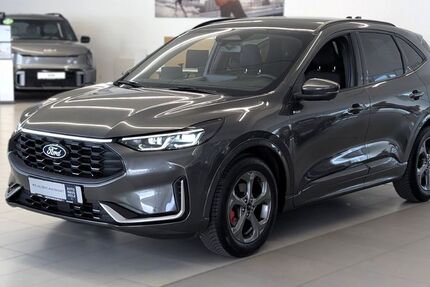 Ford Kuga 25.200 km 31.990 &euro; Landau 76829