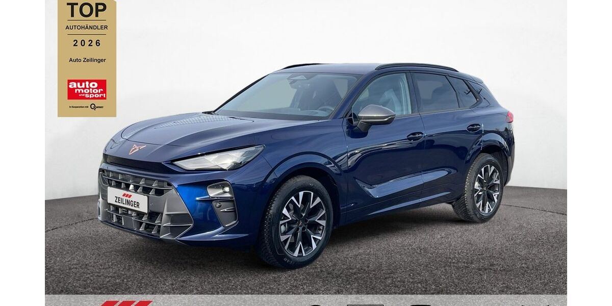 Cupra Terramar 1.460 km 33.945 &euro; Dietersheim 91463