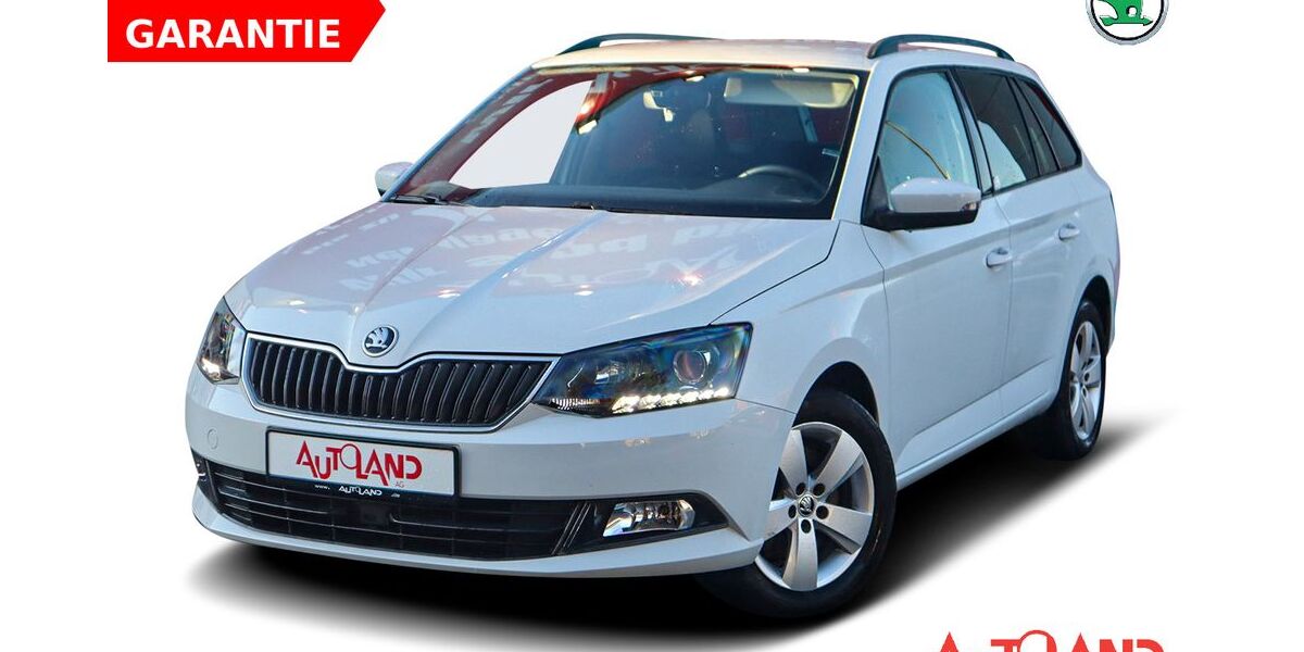Skoda Fabia 55.278 km 15.490 &euro; Meißen 01662