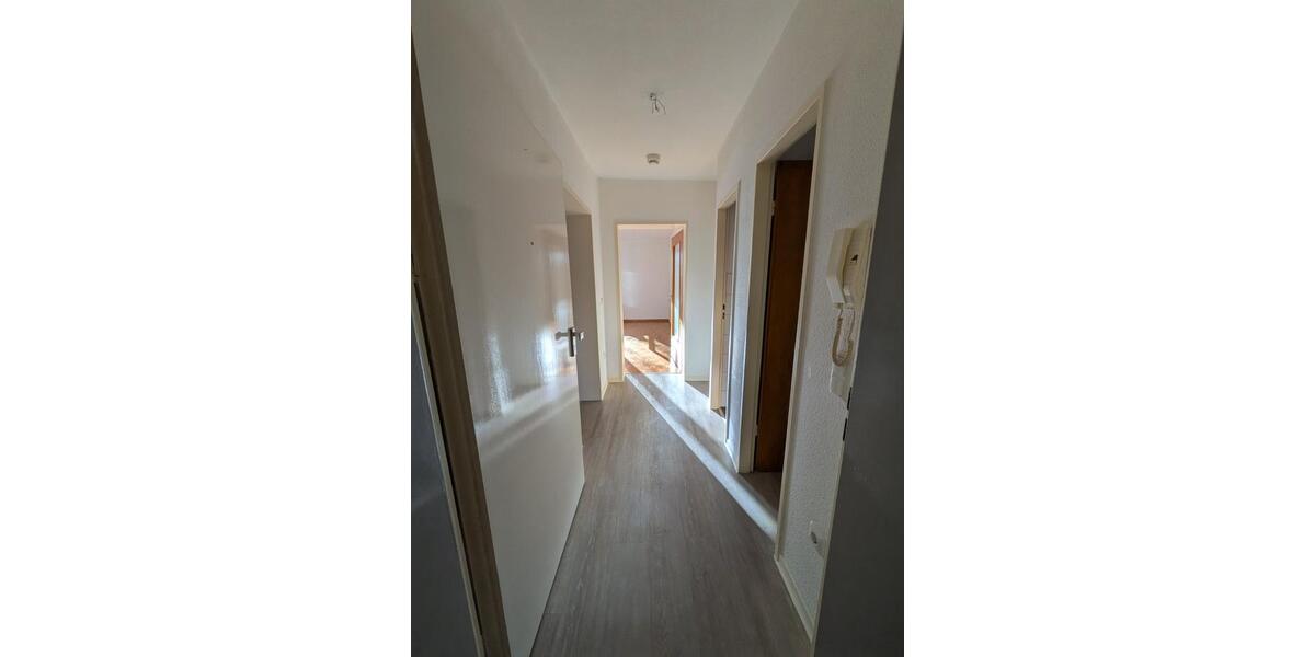 Helle 2-Zimmer-Wohnung mit Küche 2 zimmer