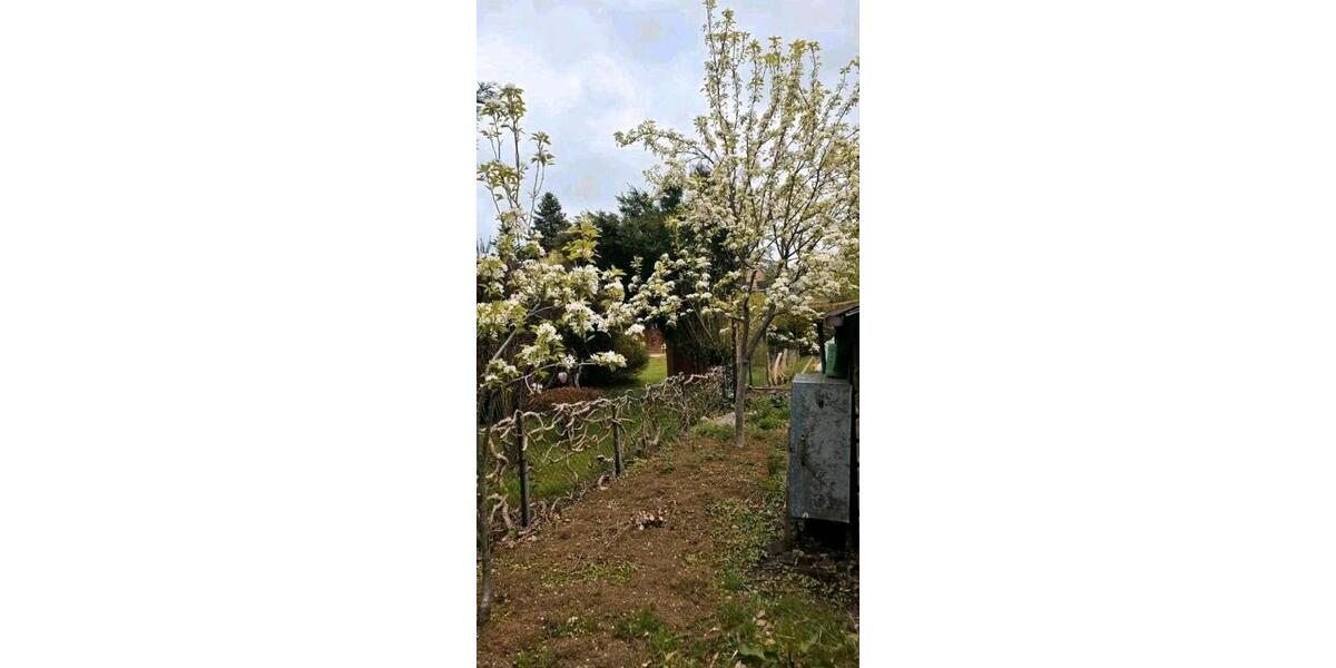 Einfamilienhaus Pinneberg - 4 Zimmer, 120 m&sup2;, 395.000&euro; | Angebot:26693725