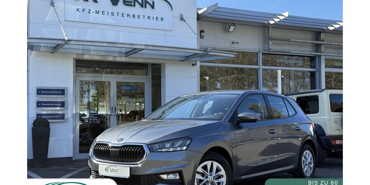 Skoda Fabia 36.150 km 21.980 &euro; Monschau (bei Aachen) 52156