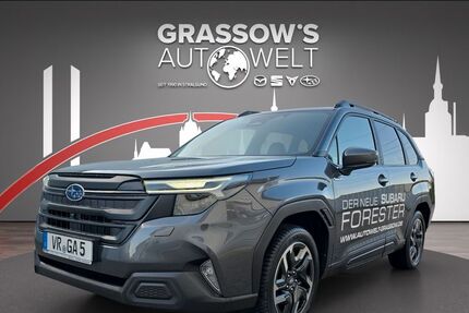 Subaru Forester 2.600 km 43.990 &euro; Stralsund-Langendorf 18442