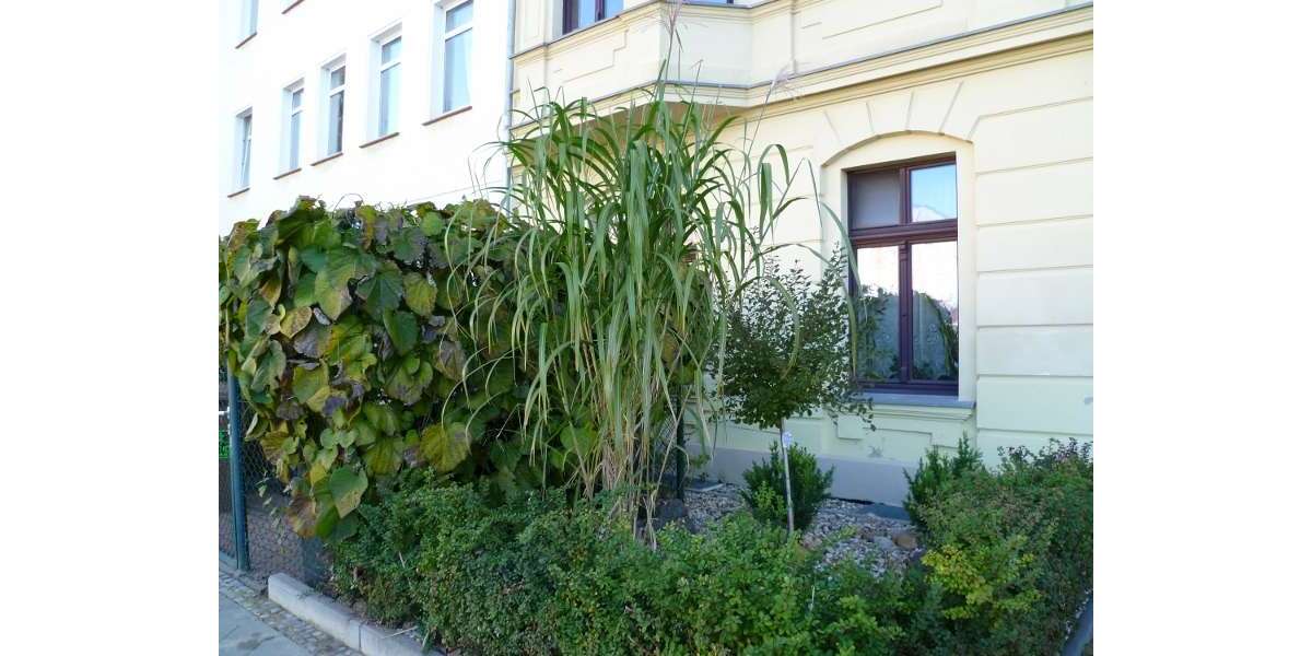 Etagenwohnung Magdeburg Sudenburg - 4 Zimmer, 109 m&sup2;, 135.000&euro; | Angebot:25382091