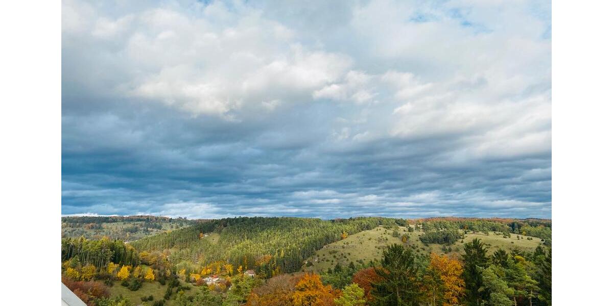 Wunderschöne kernsanierte Penthouse-Wohnung zu Vermieter 4 zimmer