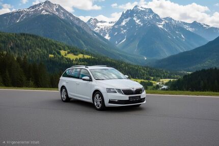Skoda Octavia 110.000 km 12.300 &euro; Villingen-Schwenningen 78056