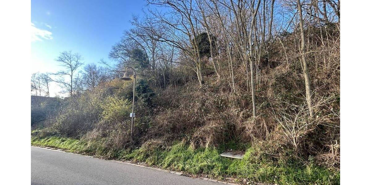 Grundstück Eisenberg (Pfalz) / Stauf Stauf - 199.000&euro; | Angebot:23954912