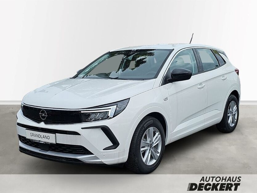 Opel Grandland (X) 2.500 km 26.990 € Homburg 66424