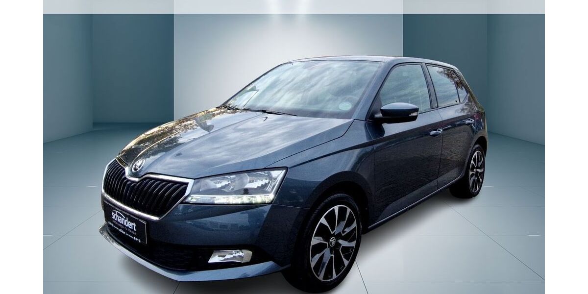 Skoda Fabia 71.881 km 13.950 &euro; Lutherstadt Wittenberg 06886