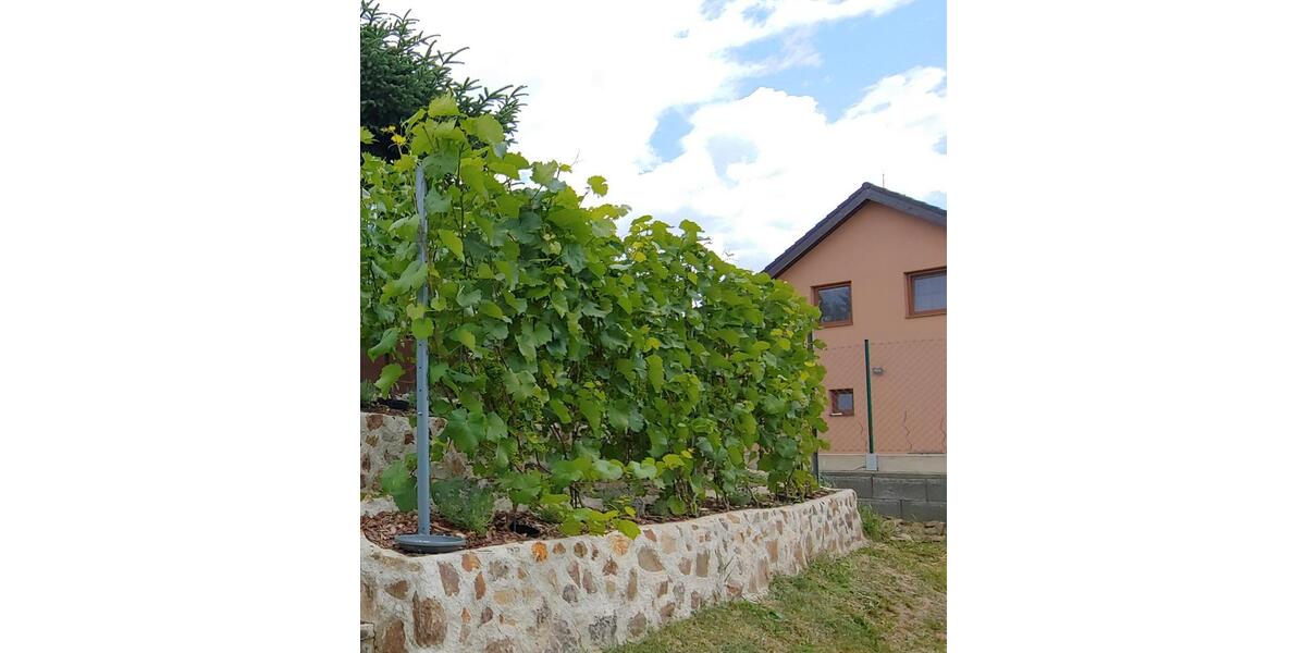 Einfamilienhaus Freyung - 7 Zimmer, 280 m&sup2;, 990.000&euro; | Angebot:26605696