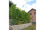 Einfamilienhaus Freyung - 7 Zimmer, 280 m&sup2;, 990.000&euro; | Angebot:26605696