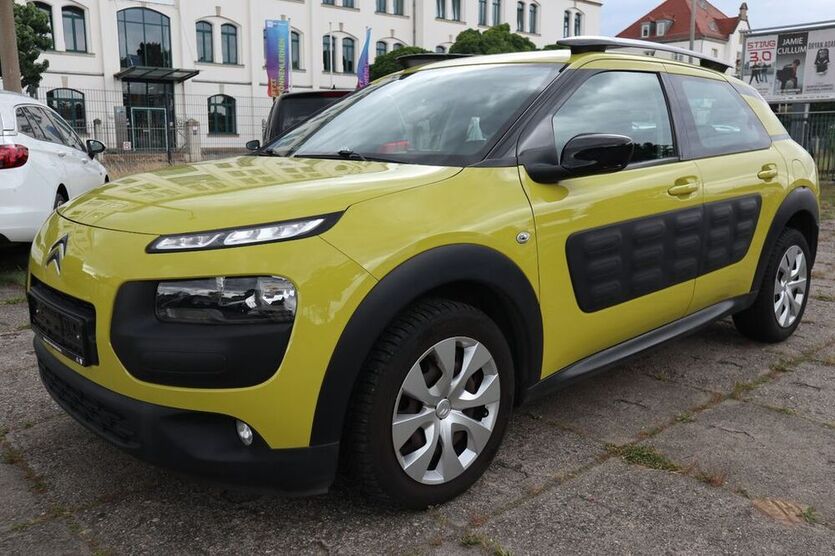 C4 Cactus