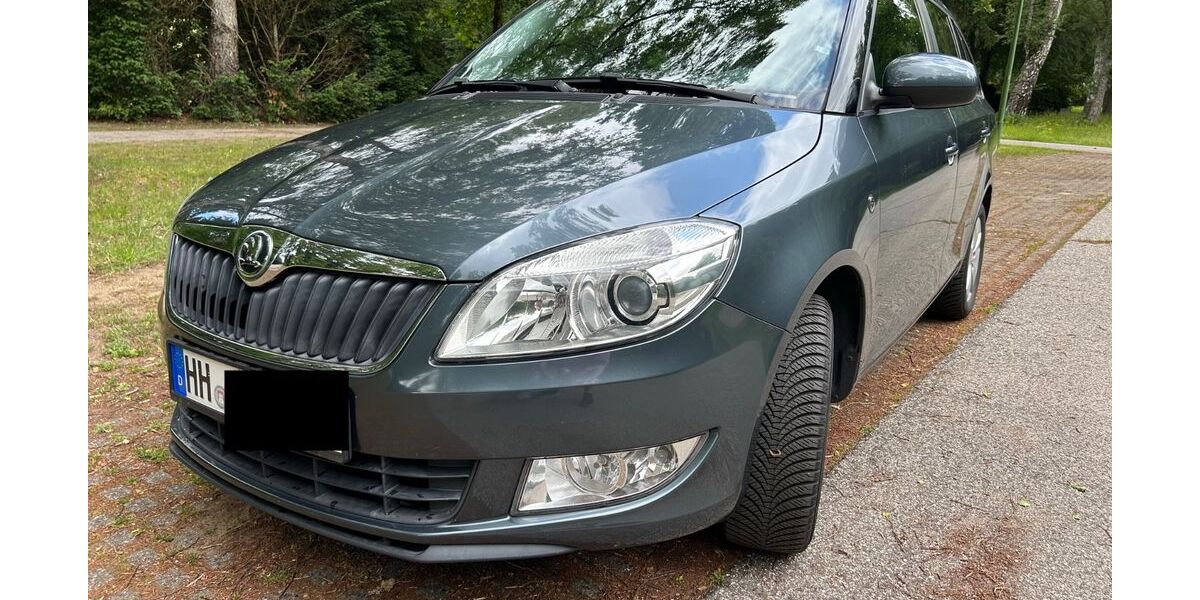 Skoda Fabia 126.750 km 6.390 &euro; Hamburg 22119