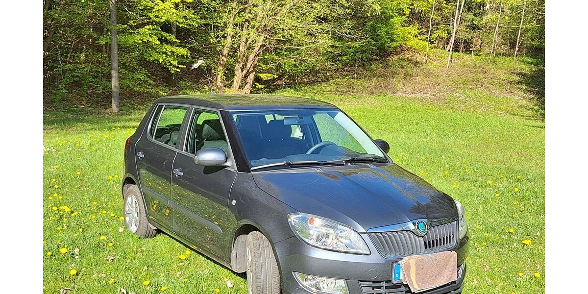 Skoda Fabia 89.300 km 3.400 &euro; Brotterode Trusetal 98596