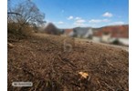 WO WOHNTRÄUME WAHR WERDEN - Grundstück Pilsach | Angebot:27233935