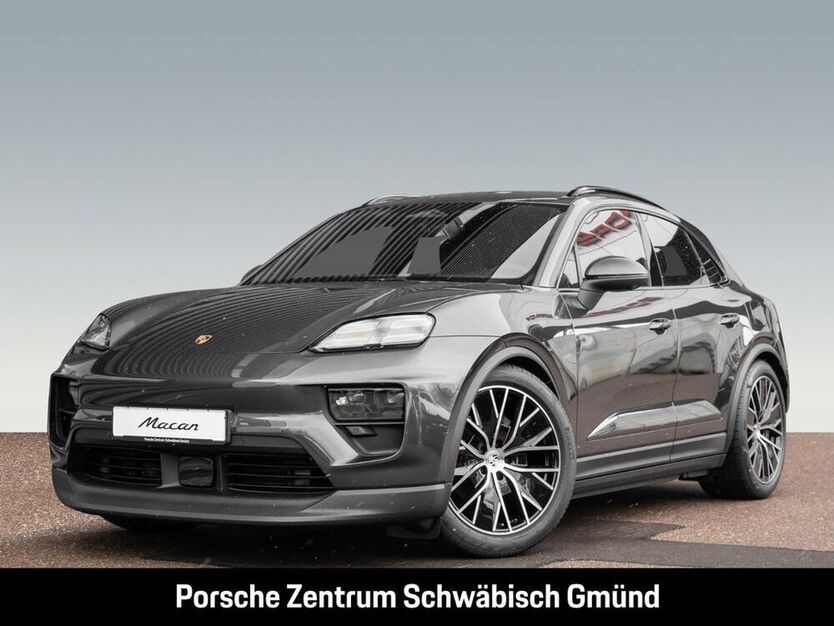 Macan
