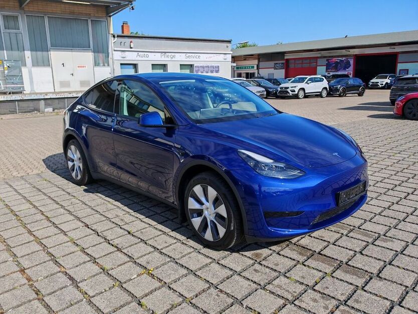 Model Y