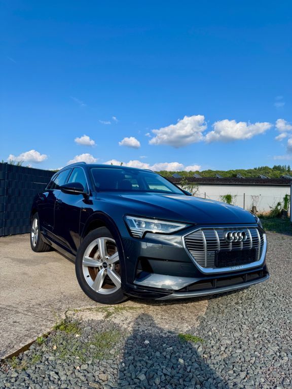 Audi e-tron 134.000 km 21.800 € Konz 54329