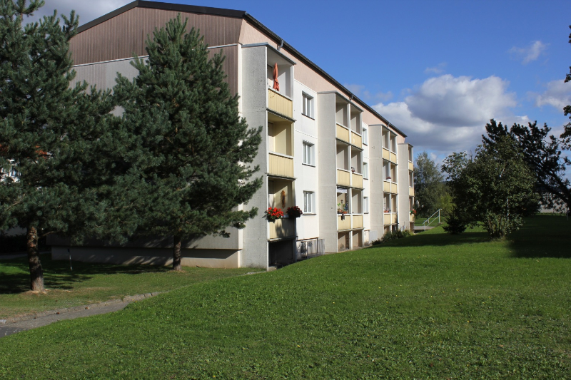 Wohnung zum Mieten in Haselbachtal OT Gersdorf 290 € 50 m²