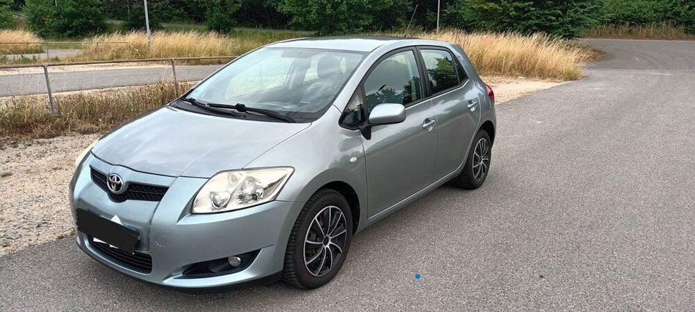 Auris