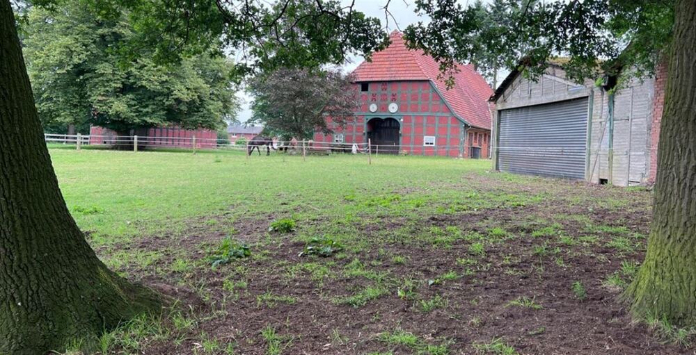 Historischer Niedersachsen- Bauernhof in Fachwerk mit Pferdeboxen u. tollen Eichenbaumbestand - Gewerbeobjekt Diepenau | Angebot:27142419