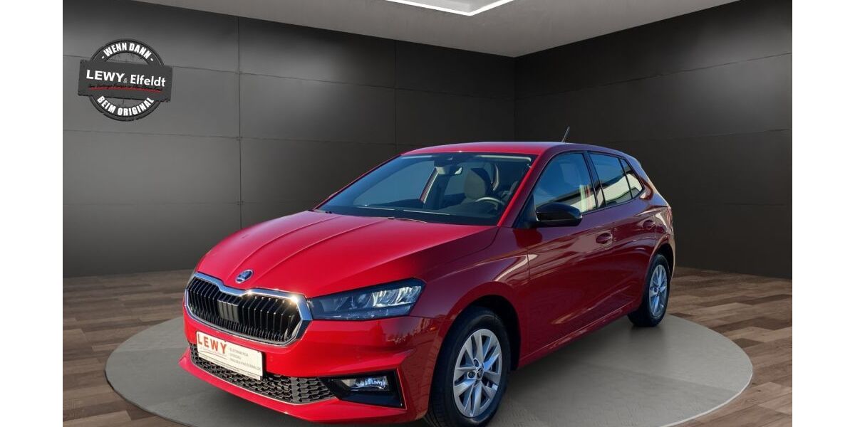 Skoda Fabia 62.336 km 13.900 &euro; Elsterwerda 04910