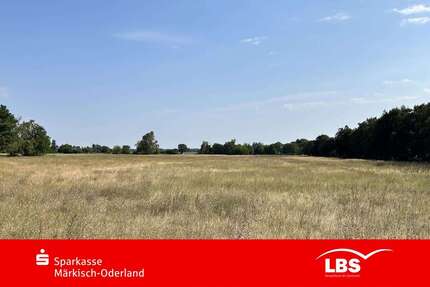 Grundstück Wriezen - 87.000&euro; | Angebot:25198333