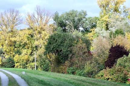 Grundstück Baarz Baarz - 15.000&euro; | Angebot:24972597