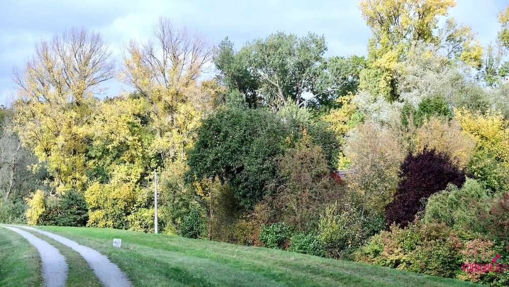 Grundstück Baarz Baarz - 15.000&euro; | Angebot:24972597