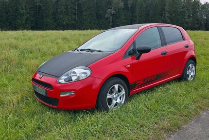 Fiat Punto 110.000 km 3.499 € Pegnitz/Bronn 91257