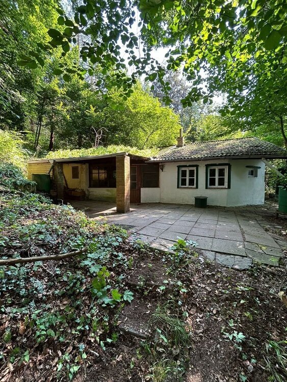 Ferienhaus in Hameln-Rohrsen! Abgeschieden! Umgeben von Wald auf einem Berg! 3.568 qm Grdst.!