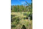 Grundstück Berlin Spandau - 4.700&euro; | Angebot:26490542