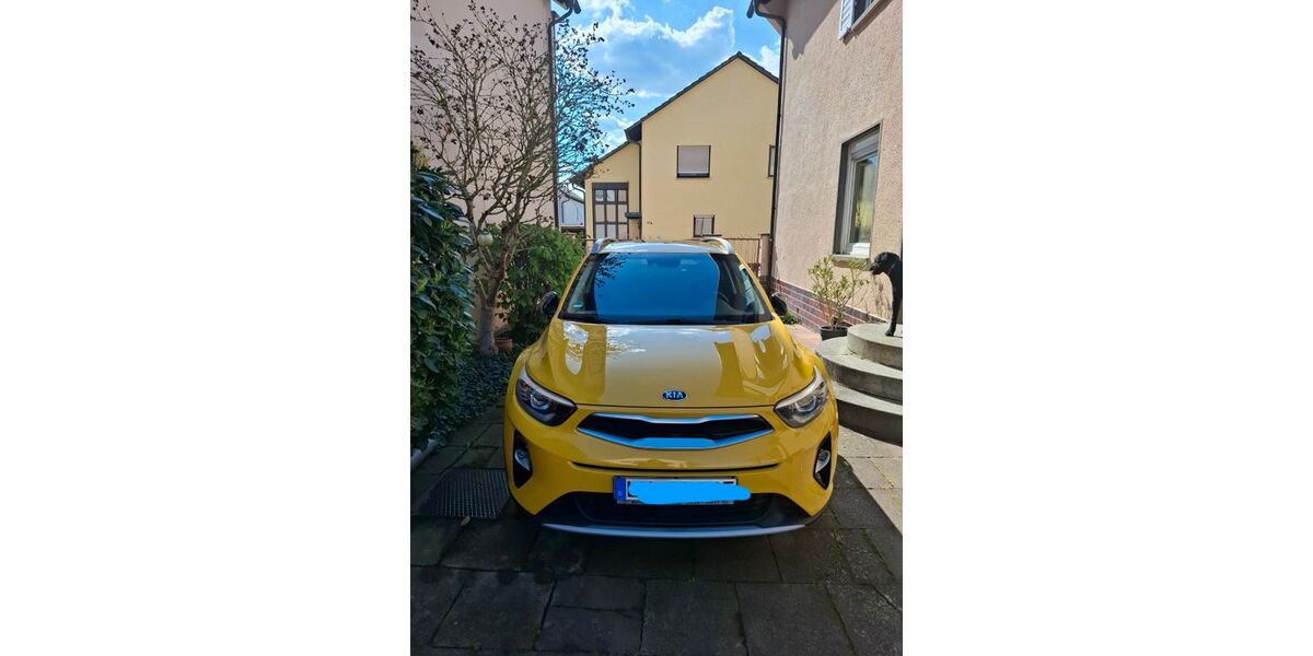 Kia Stonic 80.359 km 15.250 &euro; Waldsee 67165