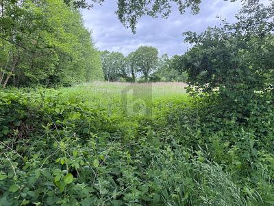 IDEAL FÜR FREIZEIT IN DER NATUR - Grundstück Lutzhorn | Angebot:25939973