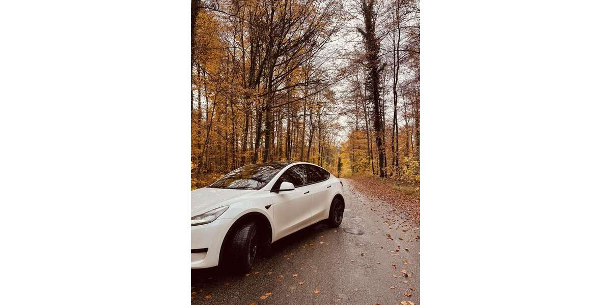 Tesla Model Y 49.750 km 42.000 &euro; Aystetten 86482