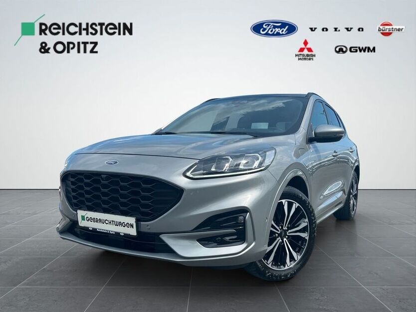 Kuga