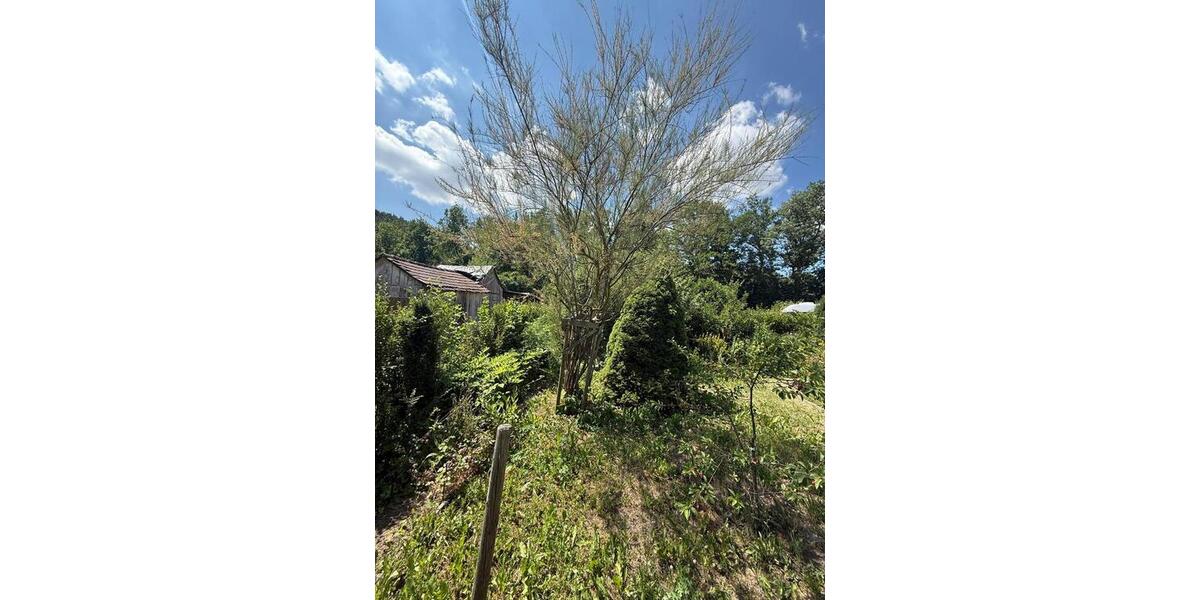 Grundstück Arnstadt - 500&euro; | Angebot:26062088