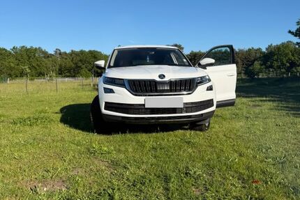 Skoda Kodiaq 131.173 km 19.900 &euro; Rodewald 31637