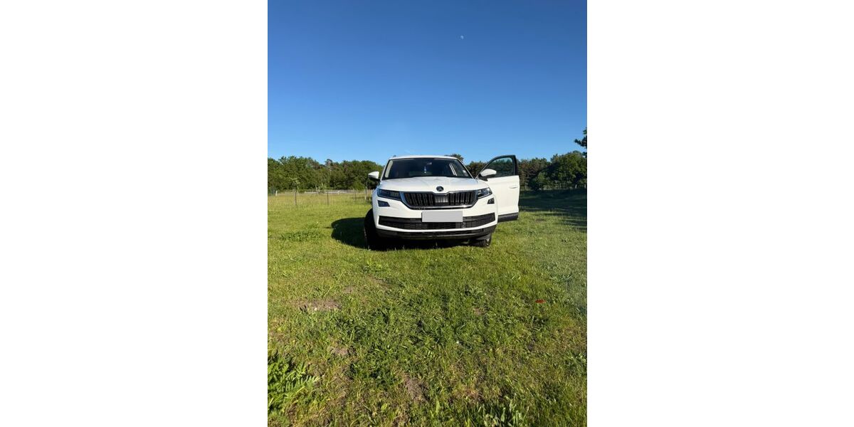 Skoda Kodiaq 131.173 km 20.700 &euro; Rodewald 31637